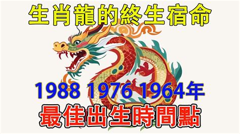 1976年生肖龍